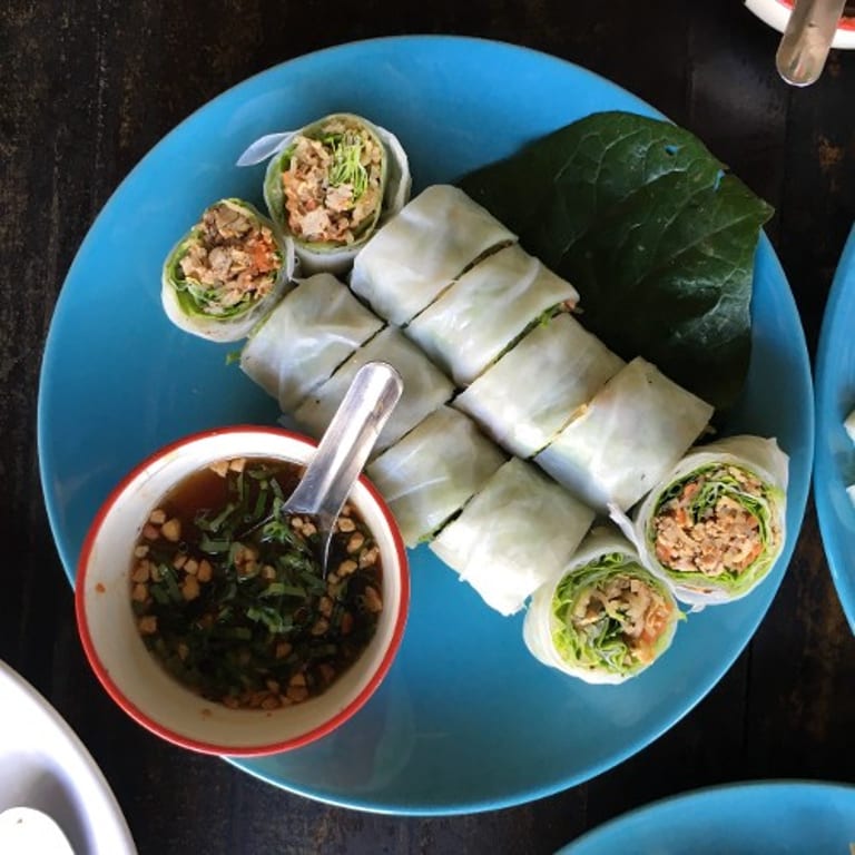 Savor Our Spring Rolls